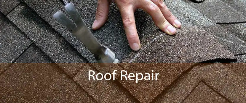 Roof Repair 