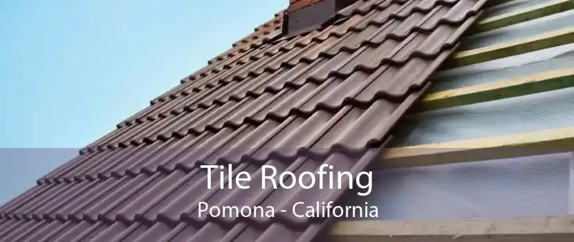 Tile Roofing Pomona - California