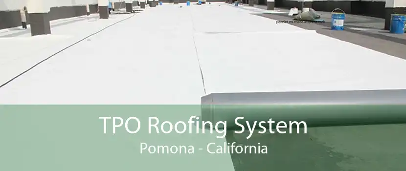 TPO Roofing System Pomona - California