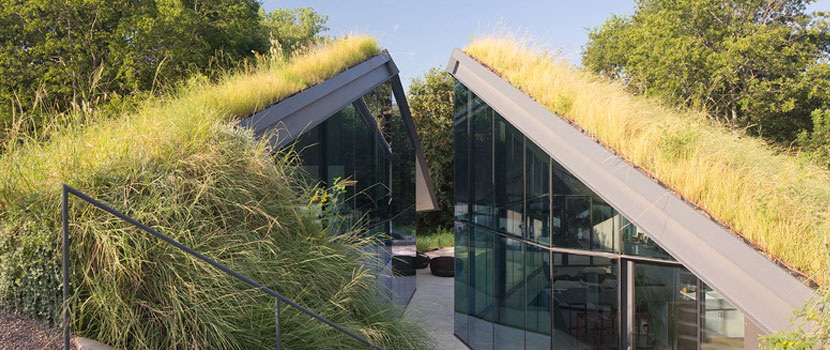 Residential Green Roof Pomona